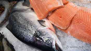 Welcher kann auf den Teller?: Fisch essen mit gutem Gewissen - n-tv NACHRICHTEN