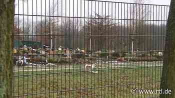 Stress in Essen: Friedhof gegen Flugverein - RTL Online