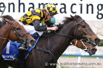 In foal mare wins at Pakenham - Just Horse Racing