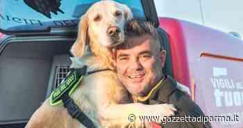 Morgana e Enrico: debutta l'«Unità cinofila Parma» - Gazzetta di Parma