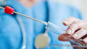 Cortocircuito tamponi pediatrici a Voltri, Schenone (èViva): "Lasciate all'oscuro molte persone" - LaVoceDiGenova.it