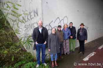 Alken aan de slag met burgerprojecten: van verwaarloosde brug tot mobiele speelstraat - Het Belang van Limburg