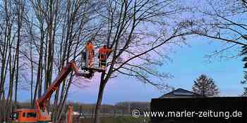 Start für das nächste Radweg-Sanierungsprojekt in Marl - Marler Zeitung