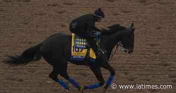 License temporarily suspended of CHRB equine medical director - Los Angeles Times