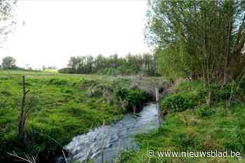 Provincie ruimt vijf beken op