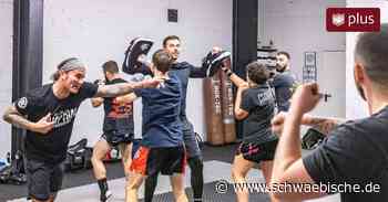 Marc Jehnes und Zlatko Horvat wollen das Thaiboxen in Lindau weiterleben lassen - Schwäbische