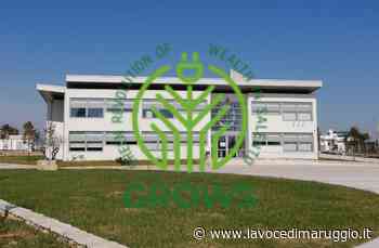 Manduria – Progetto GROWS (Green Revolution of Wealth in Salento) la città di Manduria rientra nel bando - La Voce di Maruggio