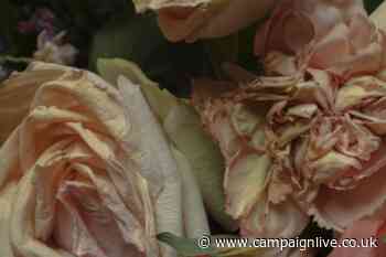 Bloom & Wild beautifully captures dying flowers to show the gesture lasts longer