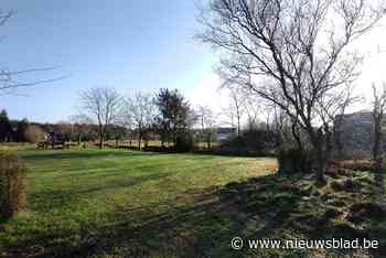 Lommel tovert 1 hectare braakliggende grond om tot kleine wildernis