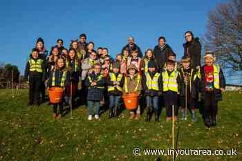 Stanstead Nursery and Primary School pupils plant over 100 trees - In Your Area