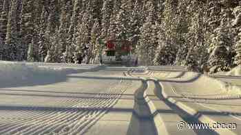 Parking fee raises $300,000 for grooming cross-country ski trails in Kananaskis Country