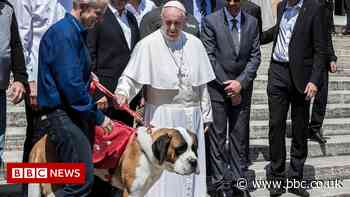 Pope Francis says choosing pets over kids is selfish