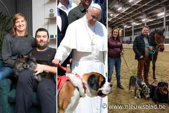 Bewust kinderloze koppels na kritiek van paus: “Meestal werken kinderen op mijn zenuwen”