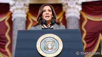 Harris underscores 'fragility' of democracy on Jan. 6 anniversary