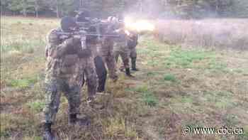 Infiltrator wanted to 'kneecap' a violent neo-Nazi group