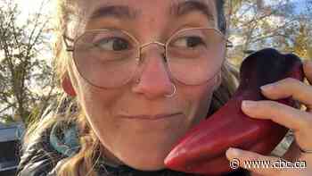 Why Calgary's food plan is now an economic booster, not a plan to feed its people