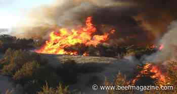 Nebraska ranchers use fire to reclaim grazing lands