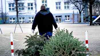 Sammelstellen für ausgediente Weihnachtsbäume in Witten - WAZ News
