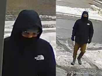 Police seek suspect in break-ins in Hintonburg, Fairmont Park and Centretown West