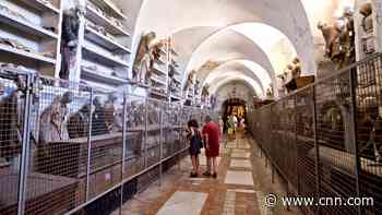 Dozens of children were mummified in a convent catacomb. Scientists want to know why