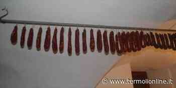 Divieto di macellazione dei suini in casa, mattatoi non in grado di far fronte alle richieste - Termoli Online