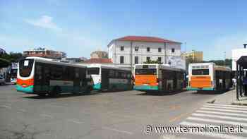 Trasporto urbano più ampio in città, venerdì saranno divulgate le novità - Termoli Online