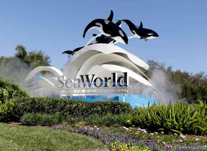 SeaWorld San Antonio offering free admission to teachers, pre-school students