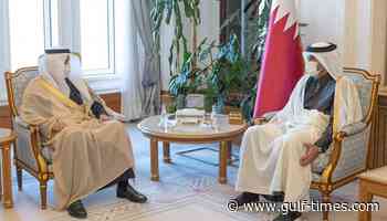 Prime Minister meets Minister of Transport and Logistic Services of Saudi Arabia - Gulf Times