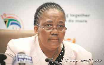 Zondo report directs police to probe kickback claims against former Transport Minister Dipuo Peters | Fin24 - News24