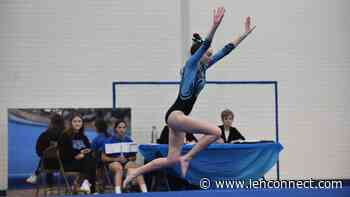 Tecumseh gymnastics tops Adrian to start 2022 - The Daily Telegram