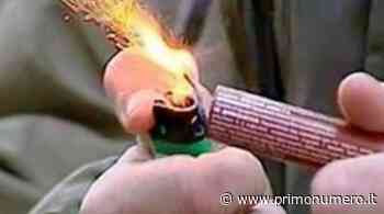 Botti di Capodanno, l'appello dell'assessore all'Ambiente: "Termoli ama gli animali" - Primonumero