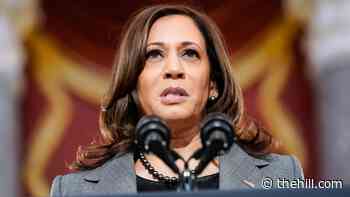 Fox's Bret Baier: 'Hyperbolic' and 'insulting' of VP Harris to compare Jan. 6 to 9/11