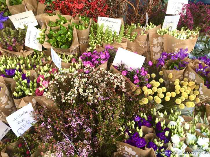 Local florist brings cheer to January, Wimbledon High School, Sharanya Narasimhan
