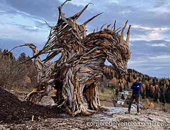 Vicenza, gli alberi abbattuti da Vaia rivivono nelle opere di Marco Martalar - Corriere della Sera