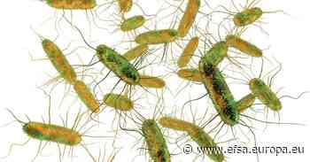 Rapporto One Health dell'UE: calo nel 2020 dei casi di malattie zoonotiche riferite nell'uomo e delle infezioni veicolate da alimenti - EFSA