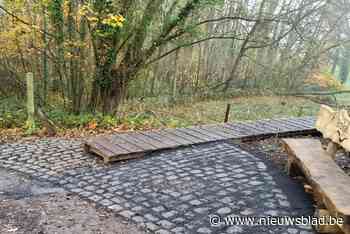Burreken krijgt vlonderpad (Brakel) - Het Nieuwsblad