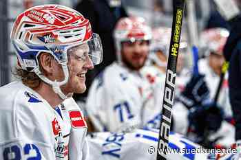 Eishockey: Drei Hammerspiele – Wild Wings gegen Düsseldorf, Köln und Mannheim - SÜDKURIER Online