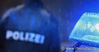 Zwei Fälle innerhalb einer Stunde: Mit der Faust ins Gesicht - Mannheim - Rheinpfalz.de