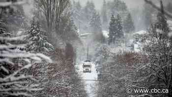 Freezing rain blasts B.C.'s South Coast after overnight snow dump, prompting travel warnings