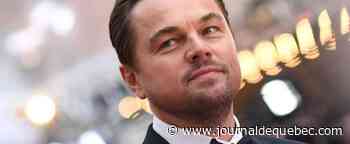 Un arbre tropical nommé en l’honneur de Leonardo DiCaprio