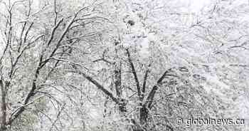 Extreme cold injuries: Dozens of Albertans suffer falls and frostbite so far in 2022