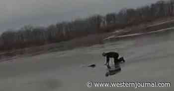Police Officer Scrambles to Save Dog After Tragic Fall Through Thin Ice
