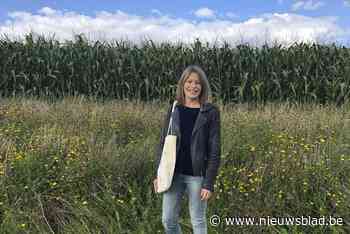 Gemeente ontvangt 27.000 euro subsidie ter ondersteuning van klimaatplan - Het Nieuwsblad