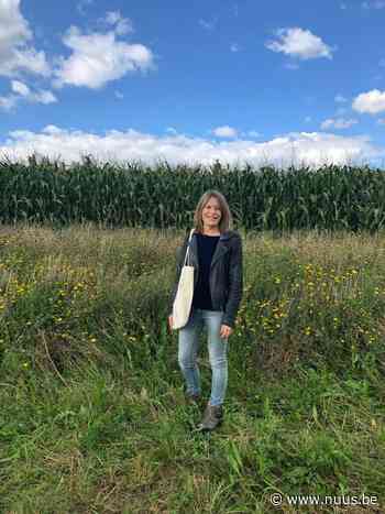 Zwalm haalt meer dan 27.000 Euro Vlaamse subsidies binnen voor energie- en klimaatacties! - NUUS