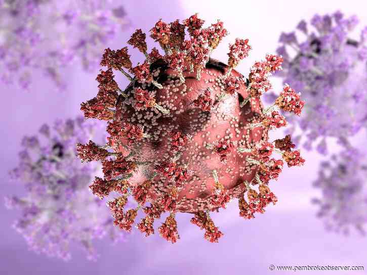 RCDHU reporting 15th COVID-related death in Renfrew County and district - Pembroke Observer