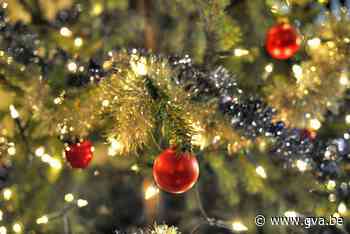 Kerstboom kan naar inzamelpunt of containerpark (Puurs-Sint-Amands) - Gazet van Antwerpen