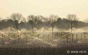 „Gelderse waterplannen gijzelen Betuwse boom- en fruitteelt” - Reformatorisch Dagblad