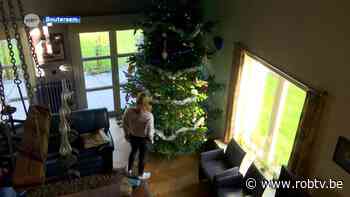 In Boutersem staat een boom van 5 meter hoog in huis: "Wij hebben graag een grote kerstboom" - ROB-tv
