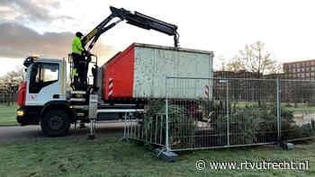 Utrecht merkt dat traditionele boom terrein verliest aan kunstboom: 'Voorheen zamelden we meer in' - RTV Utrecht