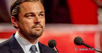 Tropische boom in Kameroen naar Leonardo DiCaprio vernoemd - Het Laatste Nieuws